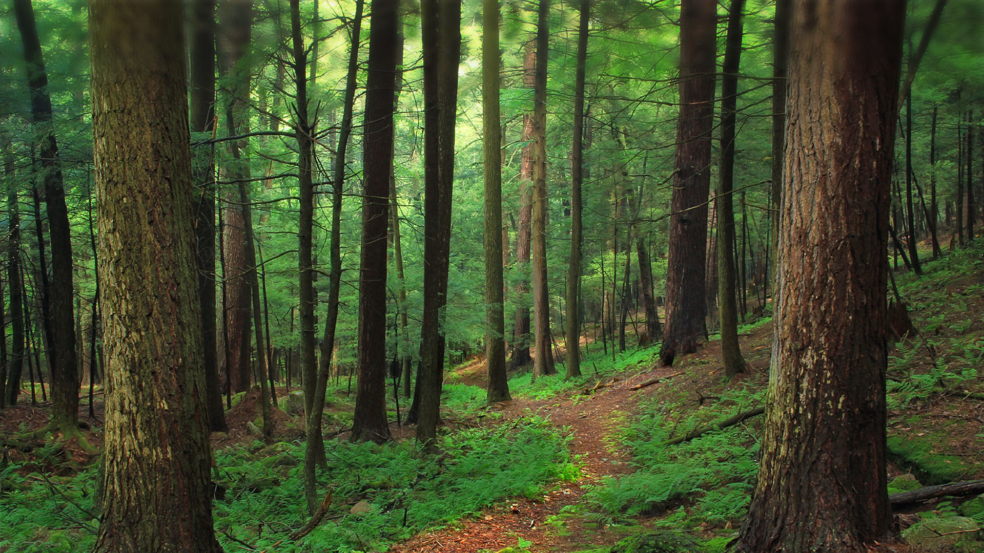 選材精良，用料厚實(shí)